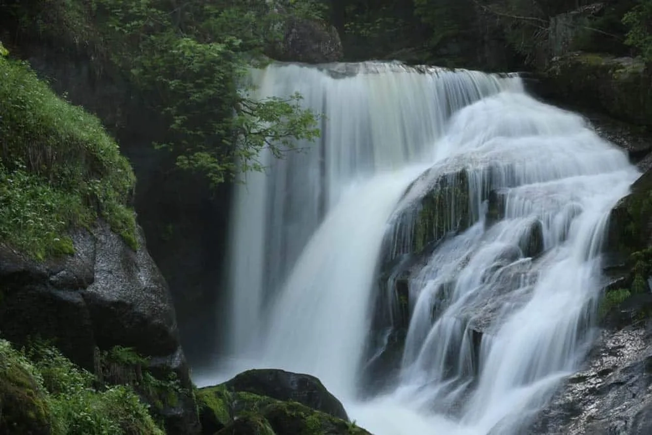 Cascadas en Selva Negra