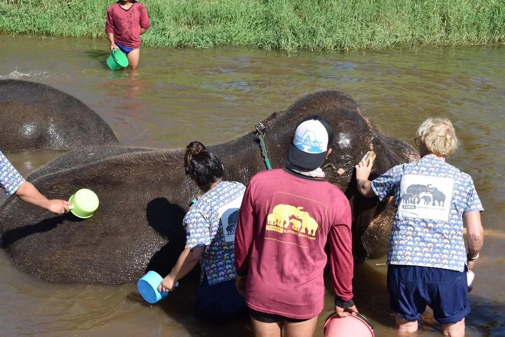 verdaderos santuarios de elefantes en Tailandia