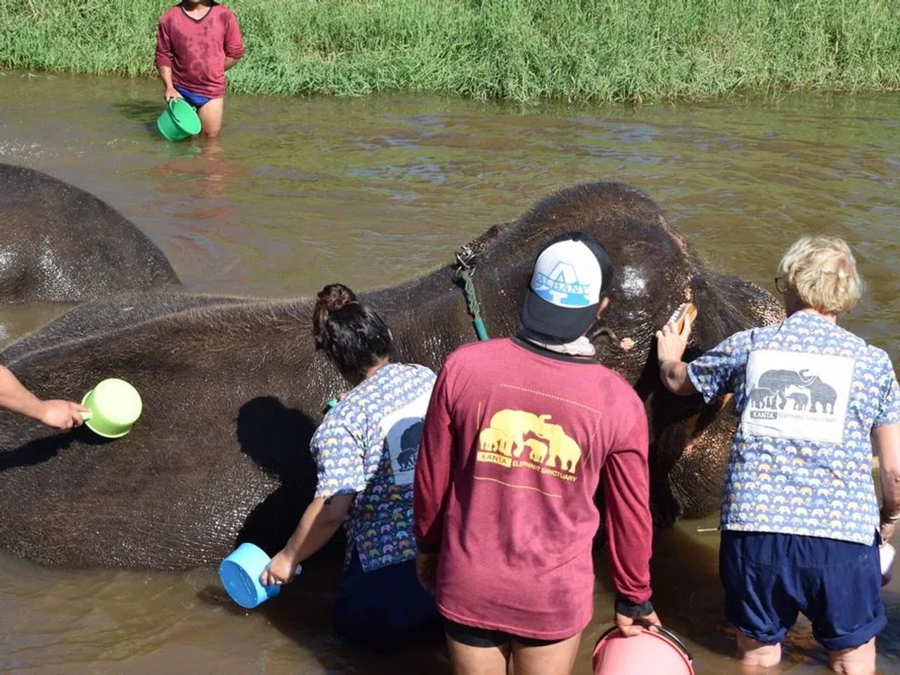 verdaderos santuarios de elefantes en Tailandia