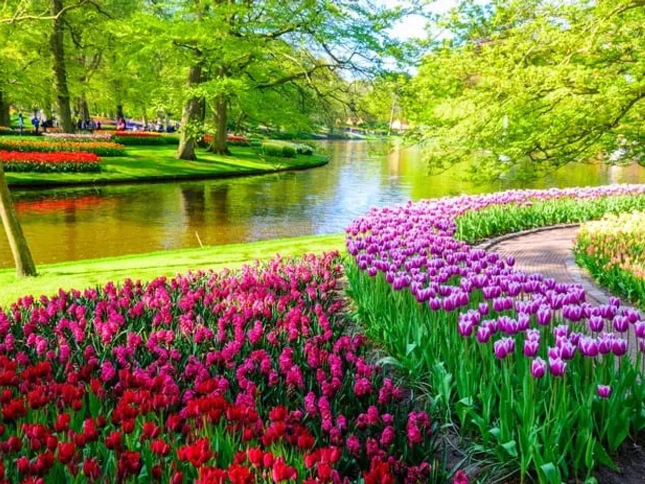 Holanda imprescindible