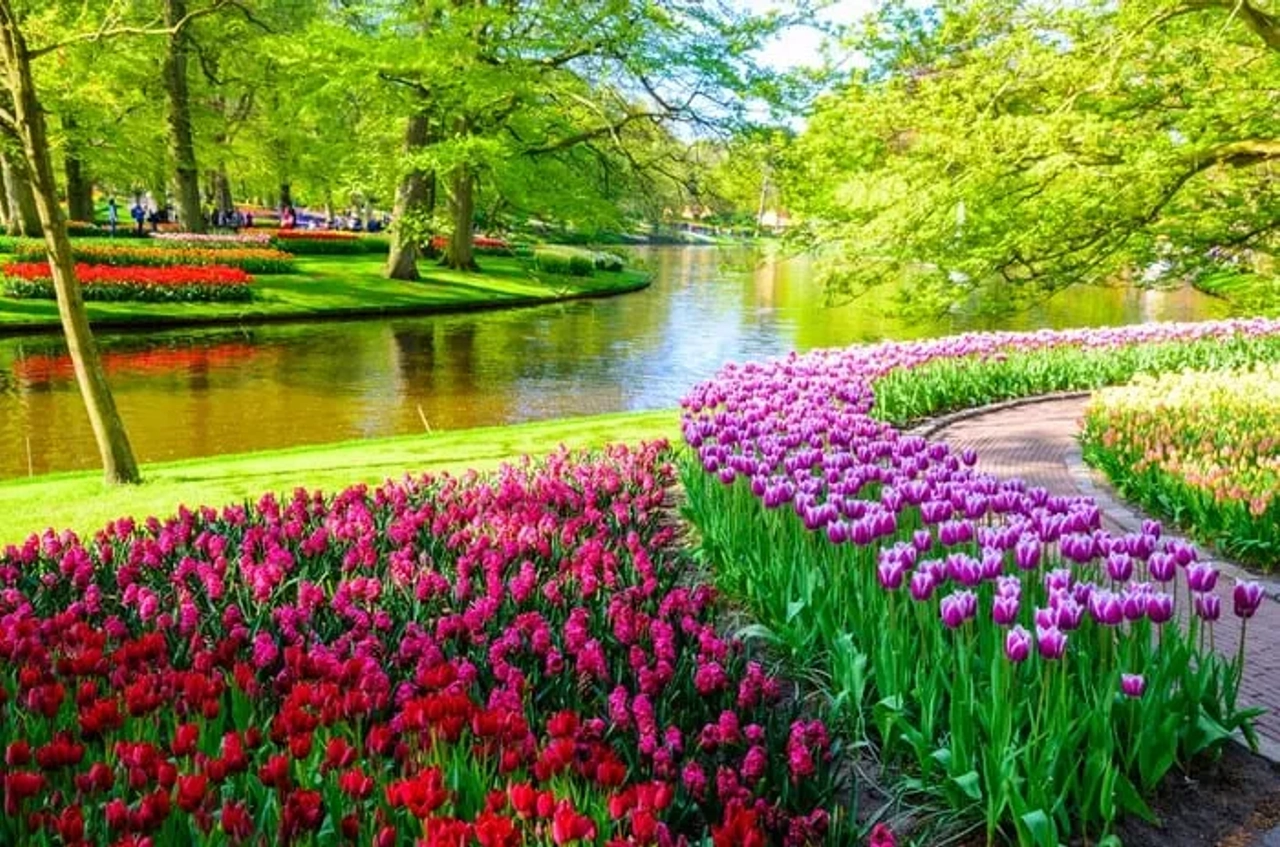 Holanda imprescindible