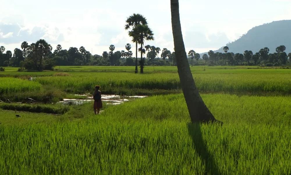 documentos para viajar a Camboya