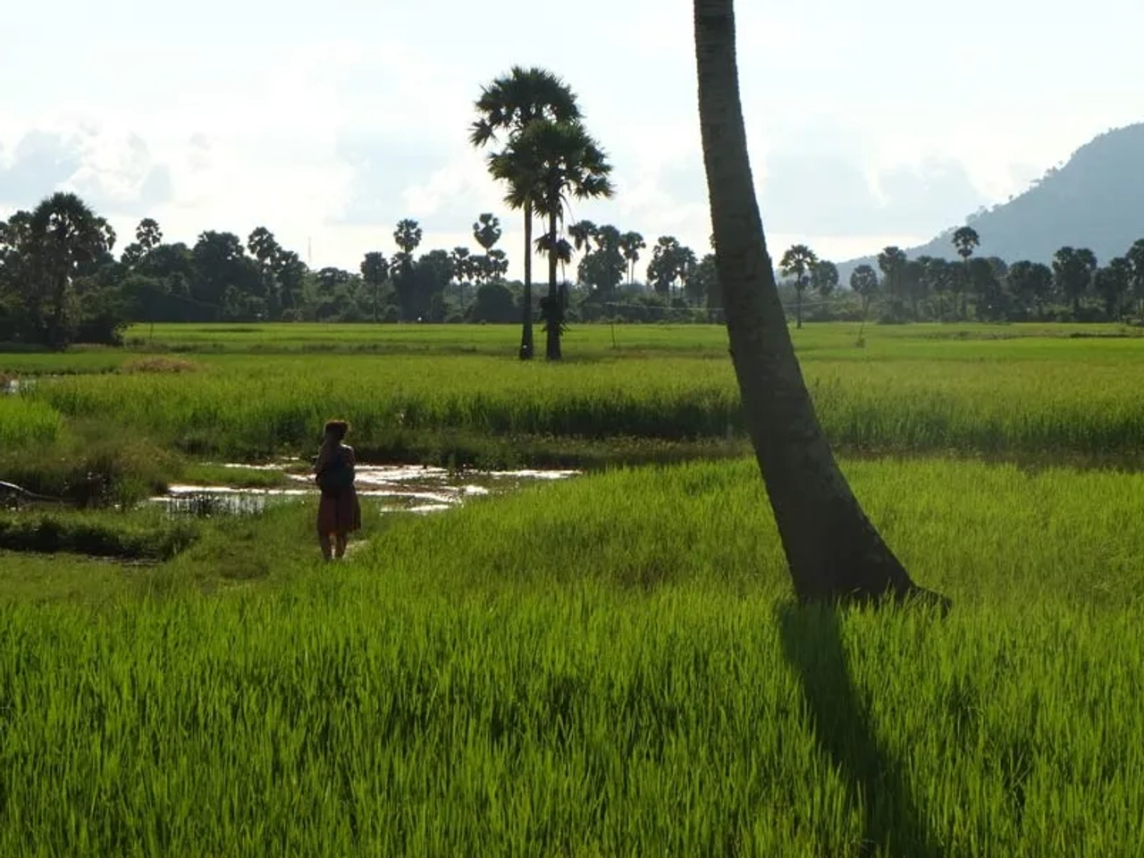 documentos para viajar a Camboya