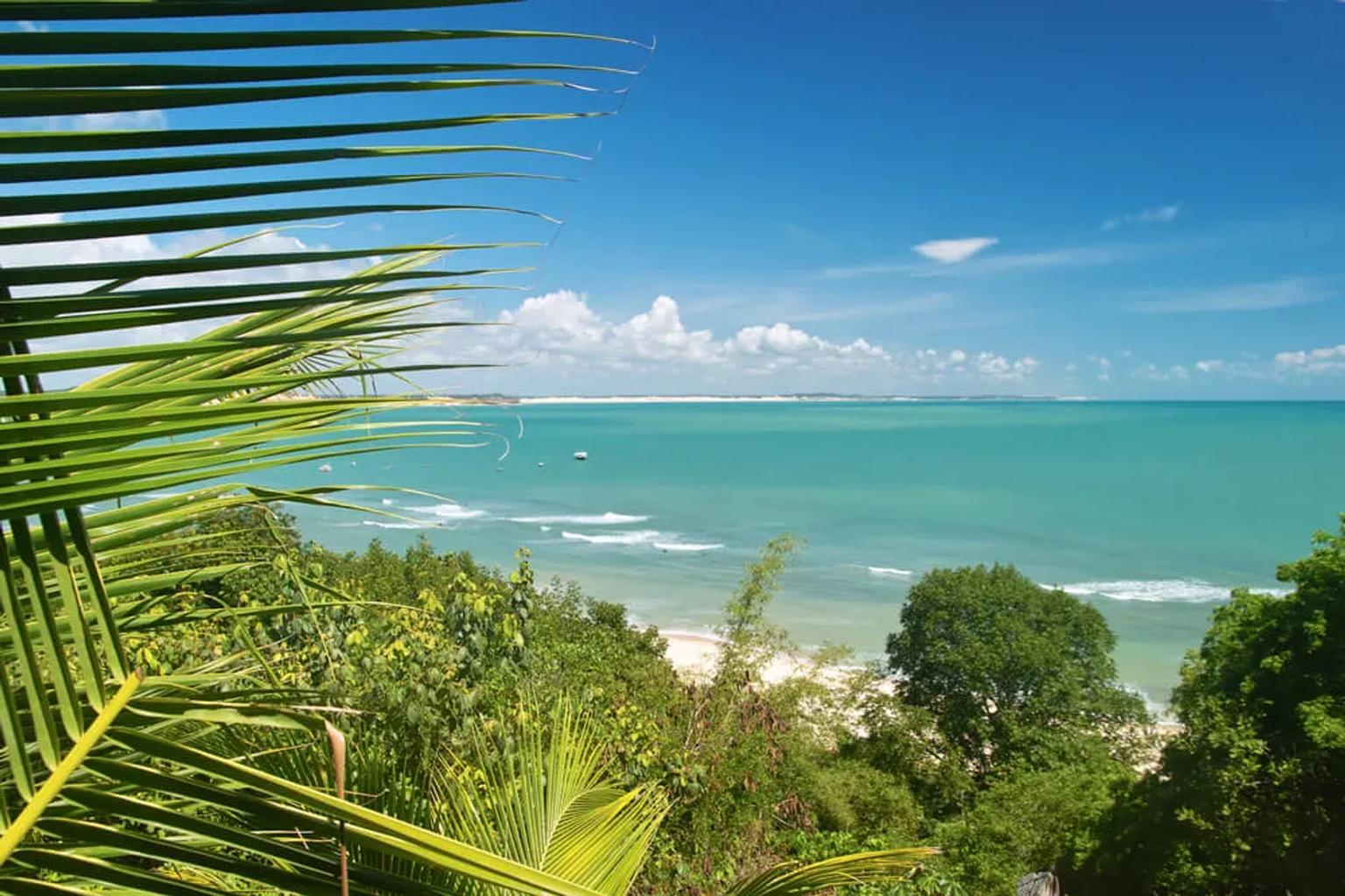 praia de pipa desde um miradouro