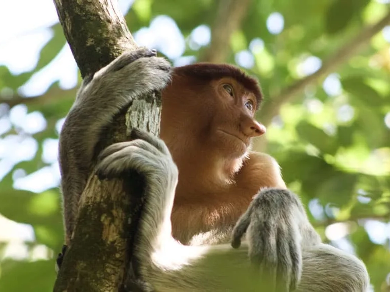 póliza médica internacional de viaje