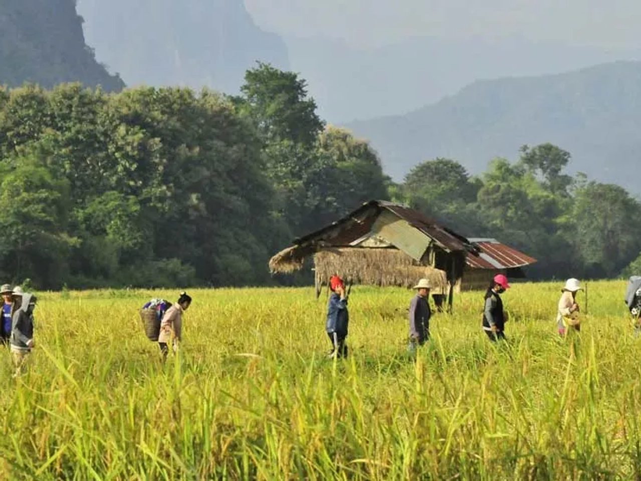 Qué ver y Qué hacer en Vang Vieng