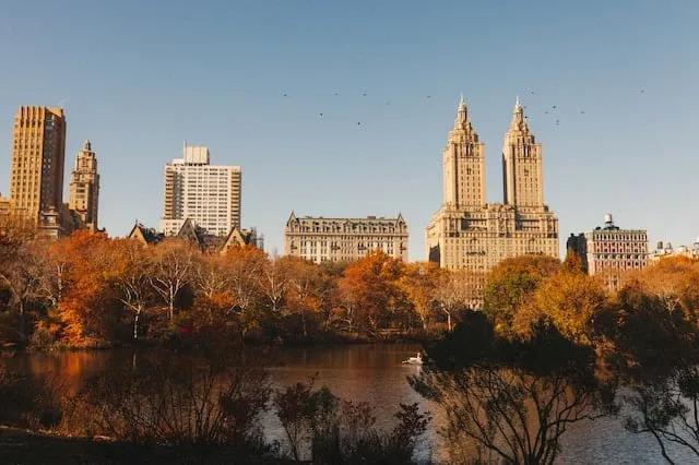 trees with orange leafs in central park, new york city