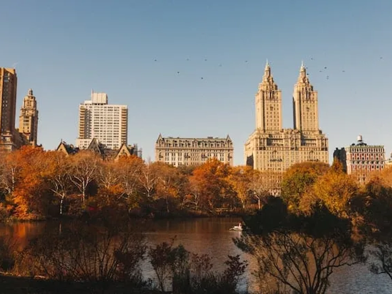 trees with orange leafs in central park, new york city