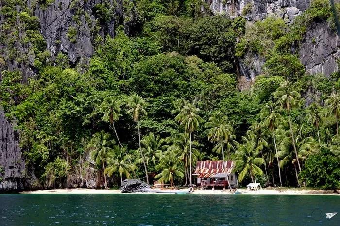 Playa tropical con palmeras y una cabaña junto a acantilados verdes.