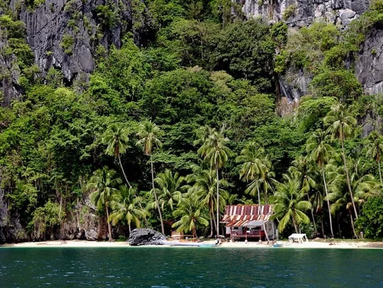 Playa tropical con palmeras y una cabaña junto a acantilados verdes.