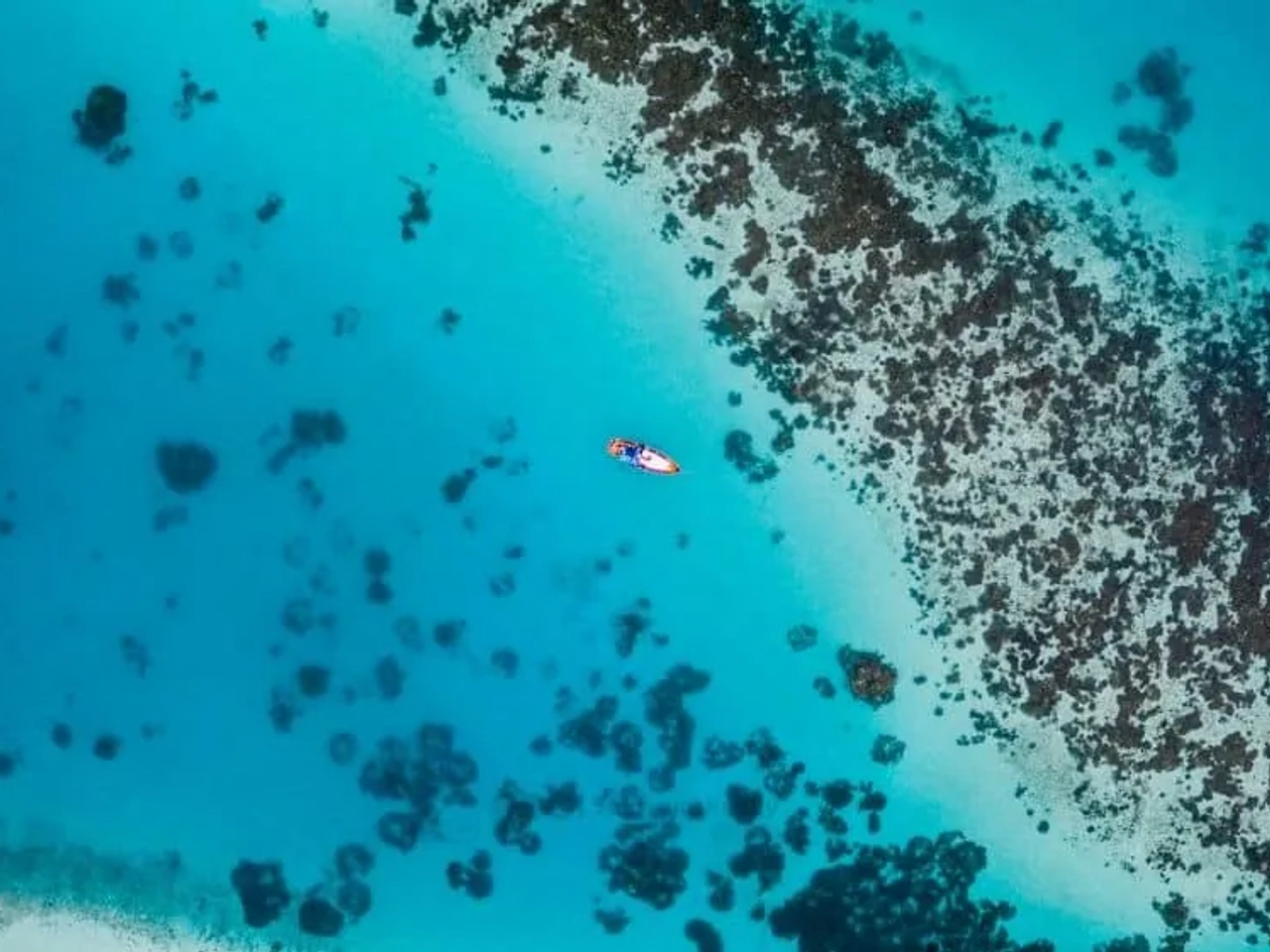 Vista aérea de un bote en aguas turquesas rodeado de arrecifes en Maldivas.