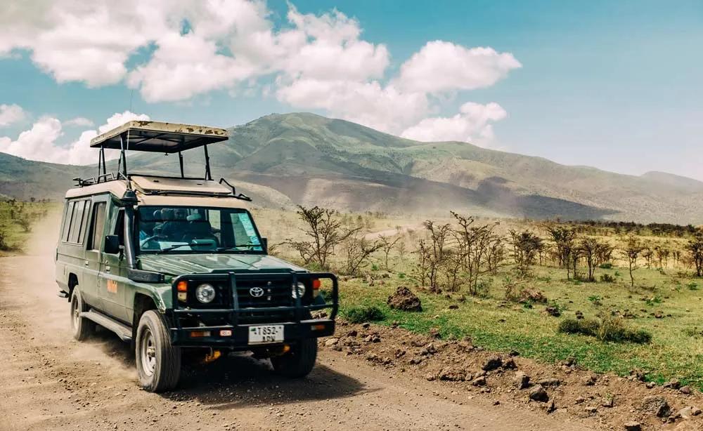 cobertura de accidentes en safari