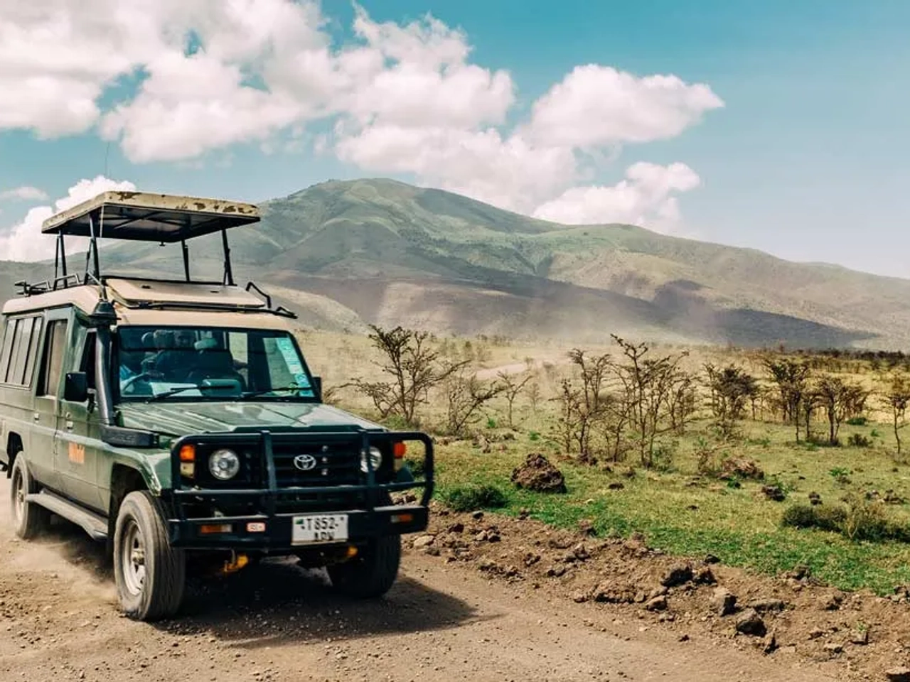 cobertura de accidentes en safari