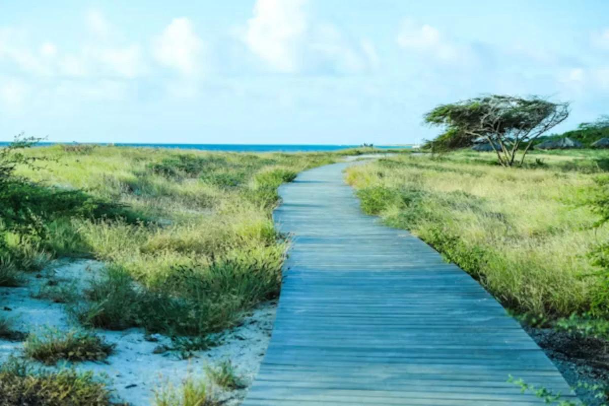 Seguro de viaje a Aruba