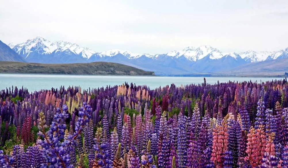 Qué se necesita para viajar a Nueva Zelanda desde España en 2025