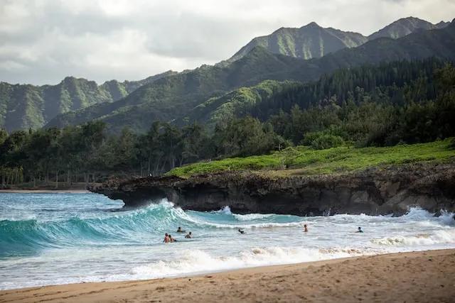 beach in hawaii with surfers