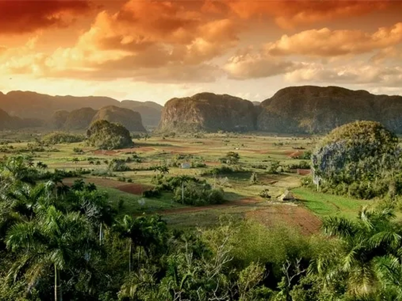 Que ver en Cuba Viñales