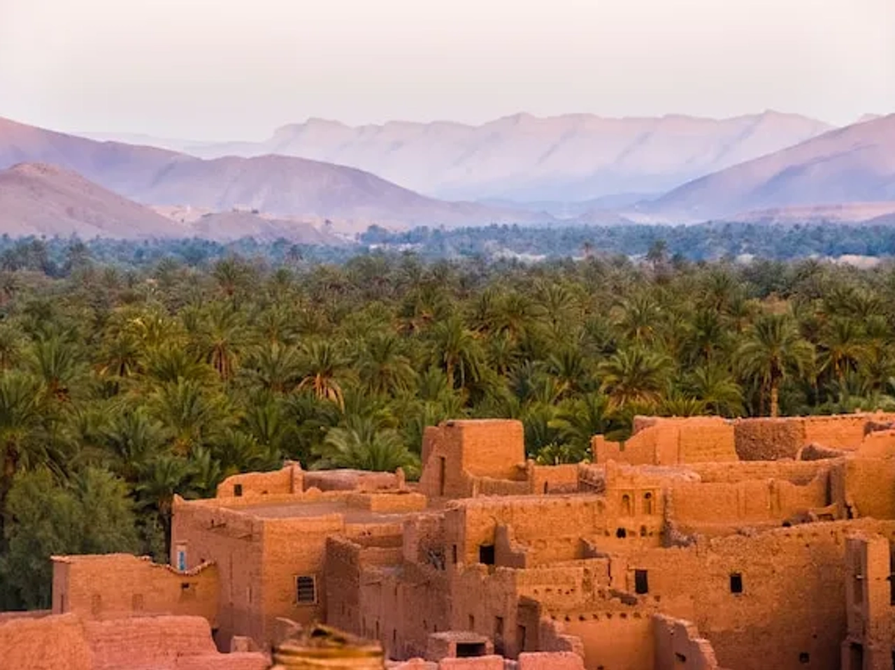 brown buildings next to a forest in marocco