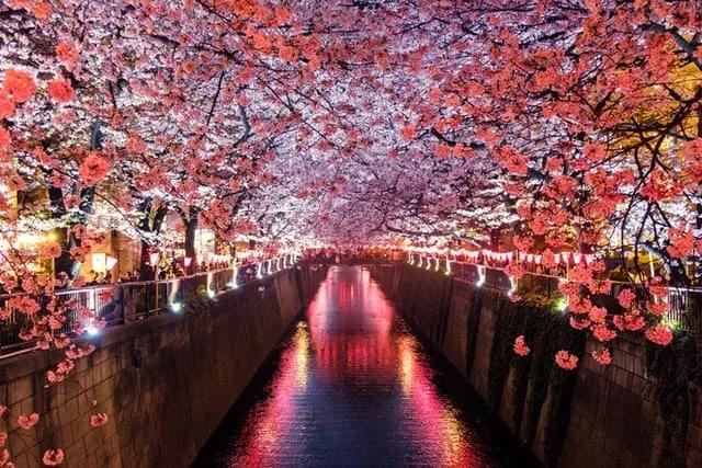 Meguro River em Matsuno no Japão
