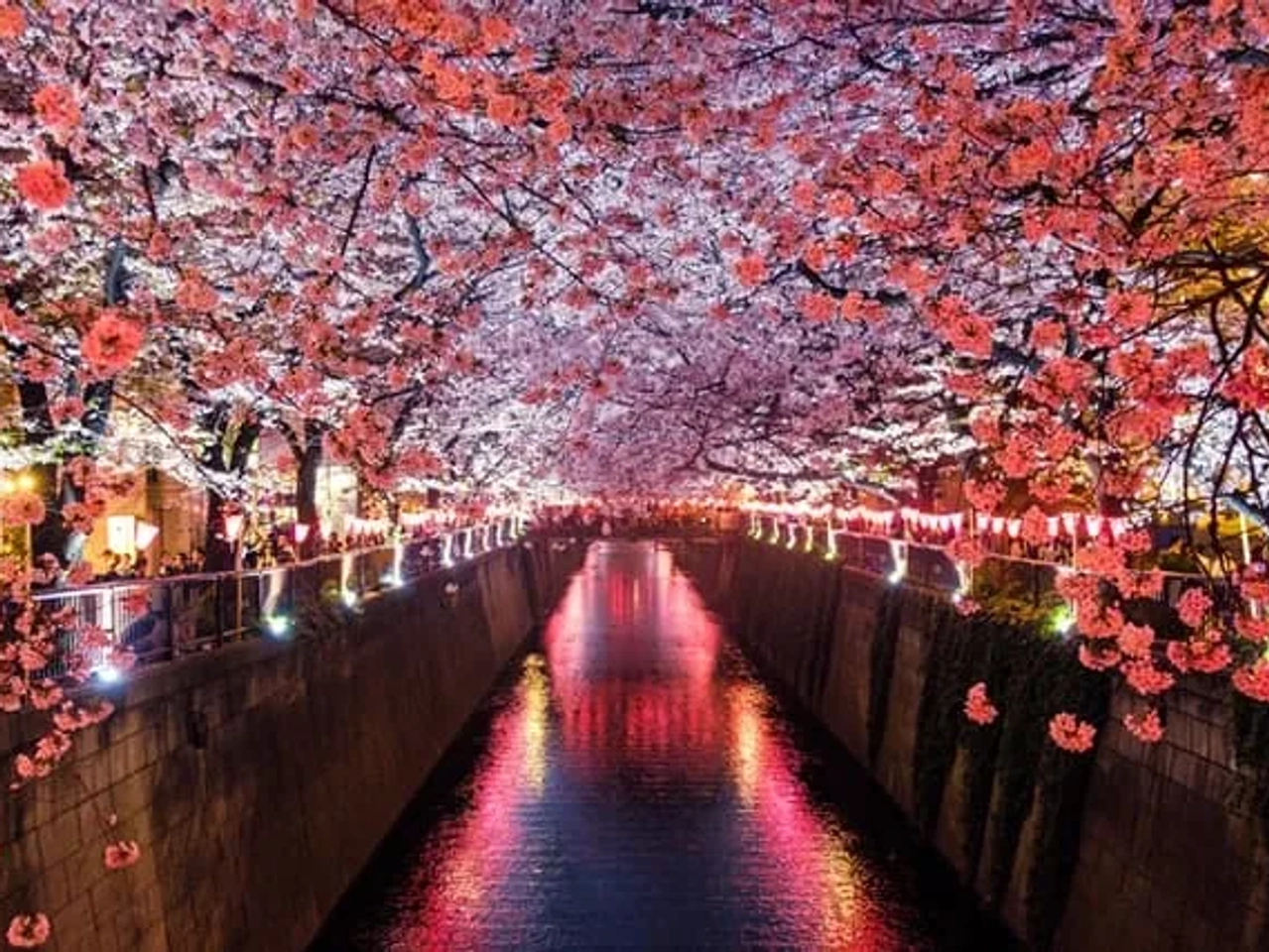 Meguro River em Matsuno no Japão