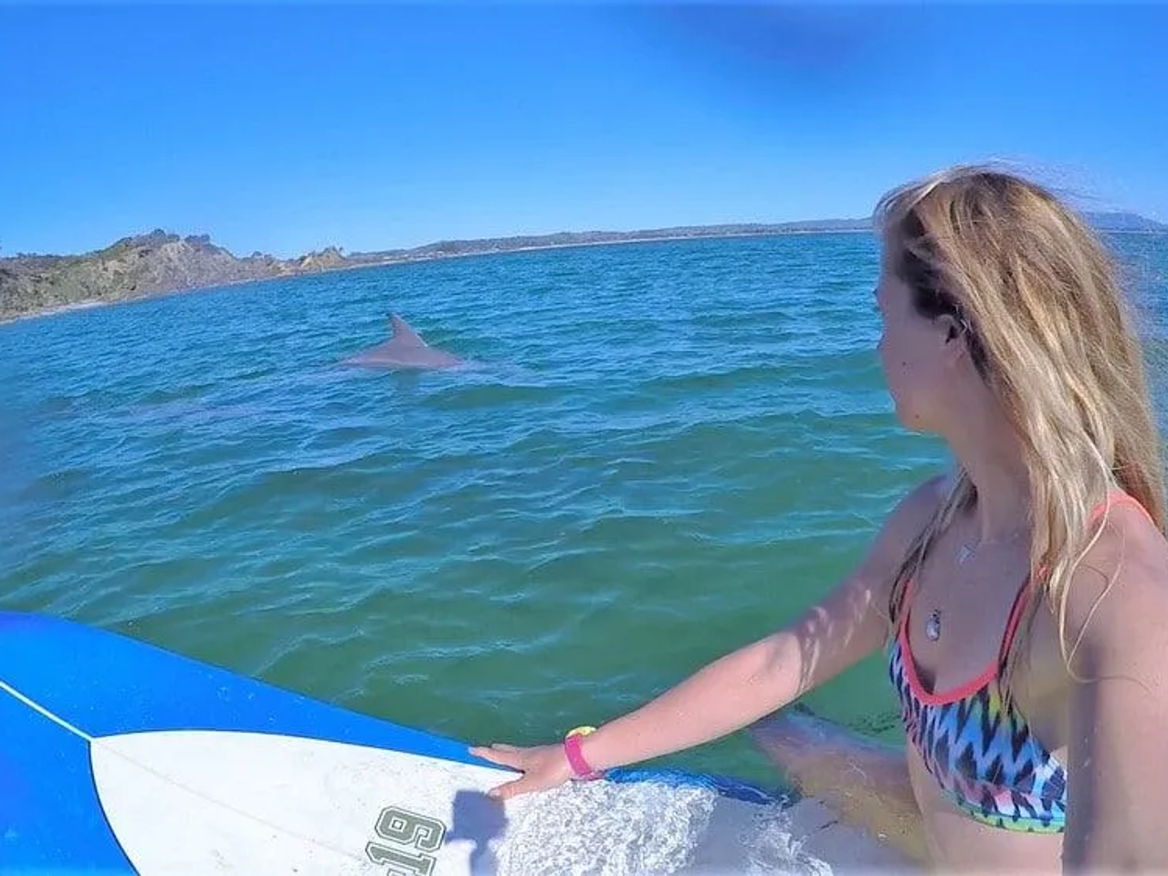 Mujer en una tabla de surf observa un delfín en el agua.
