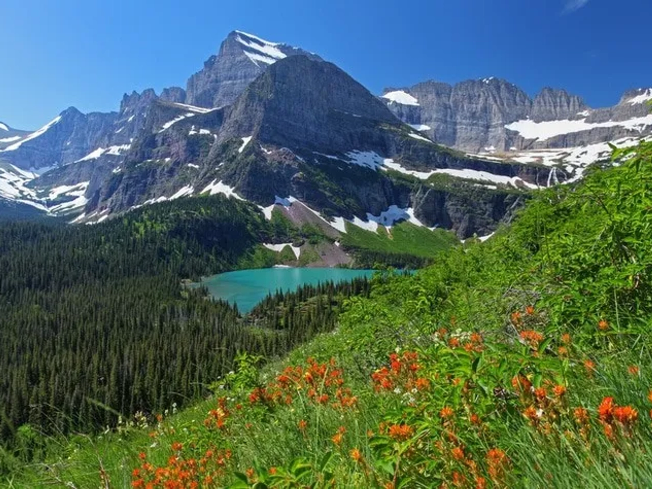 Parque Nacional de los Glaciares, Montana