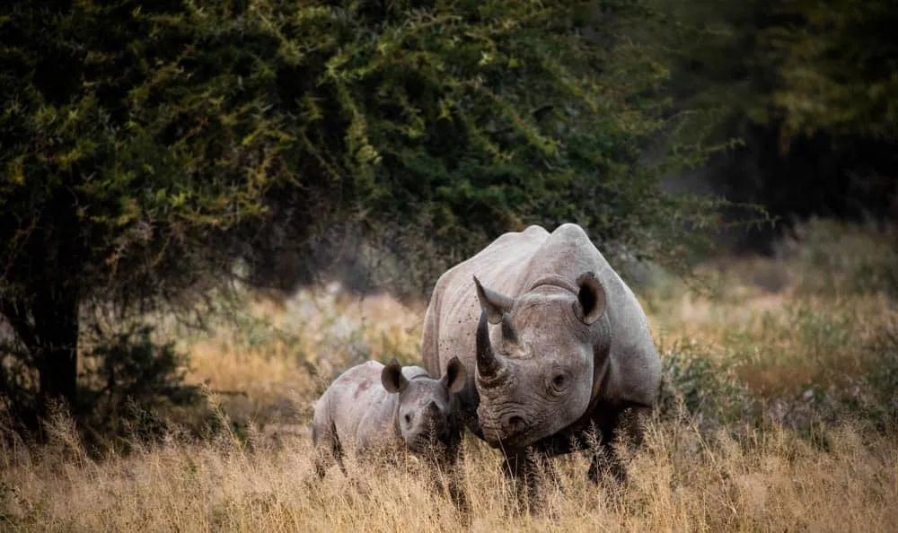 Cuándo viajar a Sudáfrica