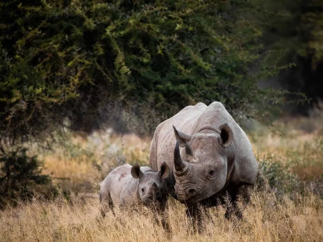 Cuándo viajar a Sudáfrica