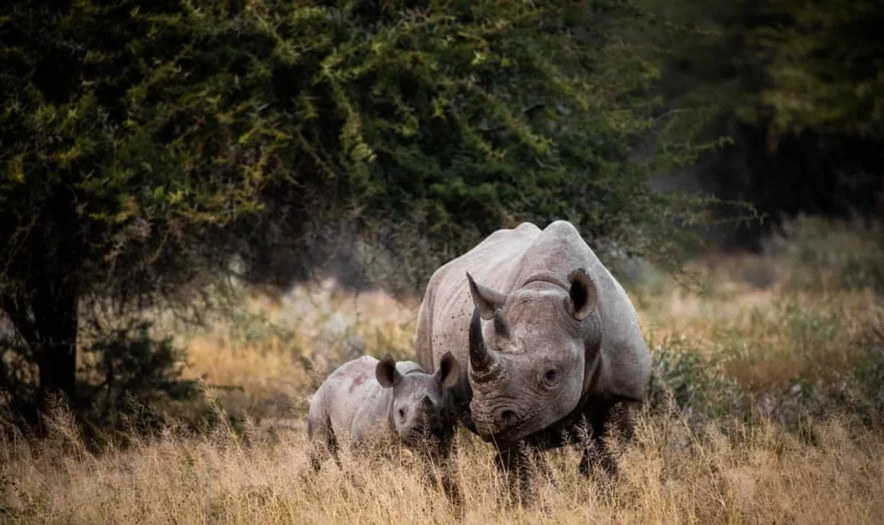 Cuándo viajar a Sudáfrica