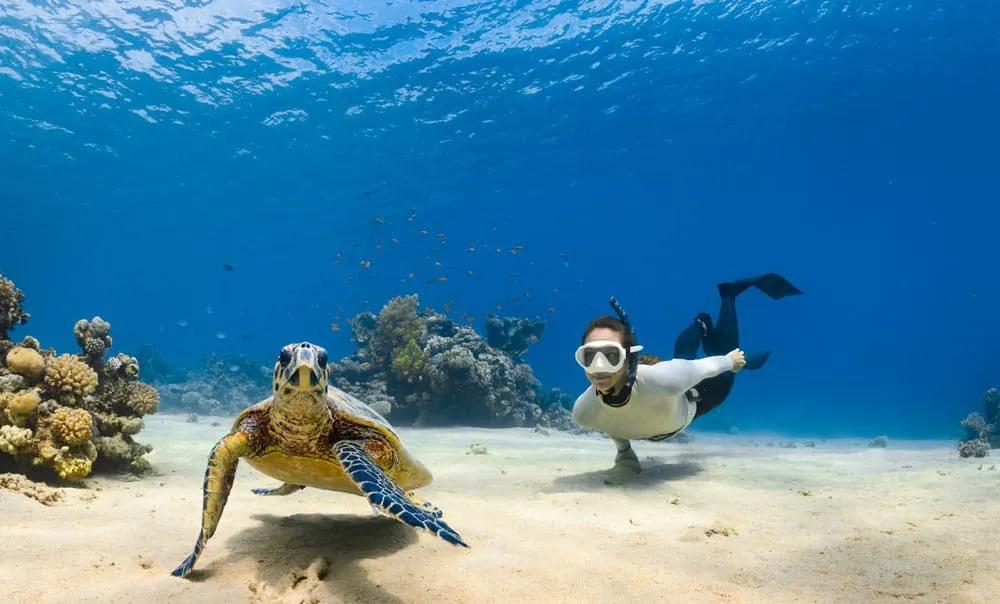 esnórquel en Arabia