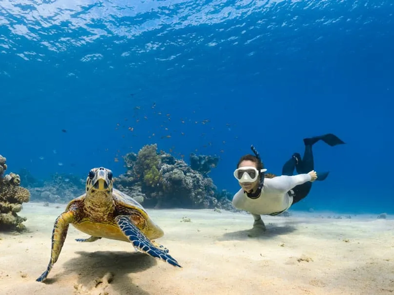 esnórquel en Arabia