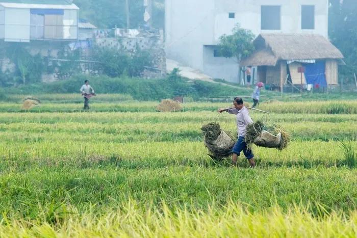 Mai Chau Vietnam