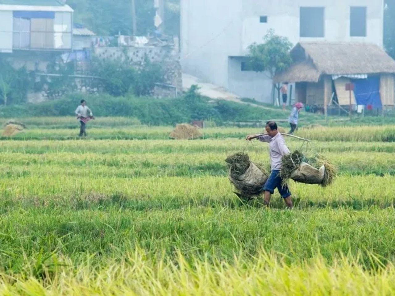 Mai Chau Vietnam