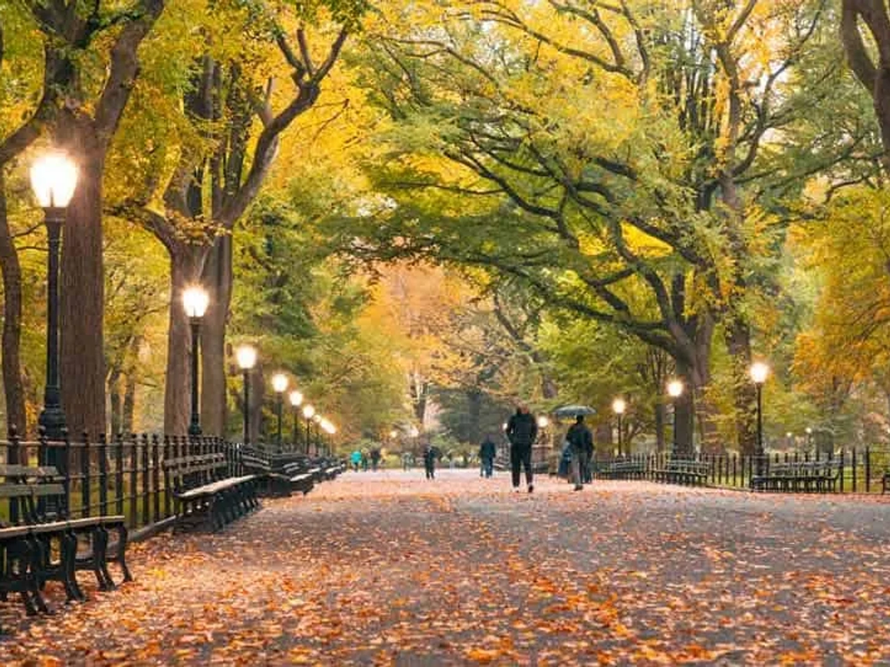 Qué hacer en Acción de Gracias en Nueva York