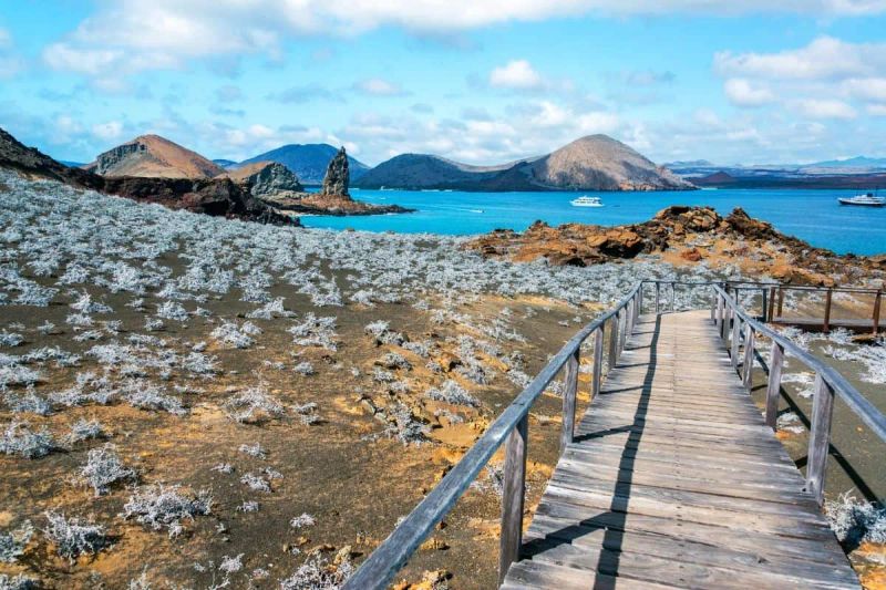 Los mejores lugares turísticos de las Islas Galápagos: Guía completa