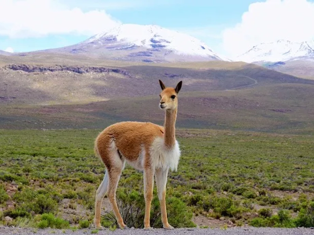 síntomas del mal de altura