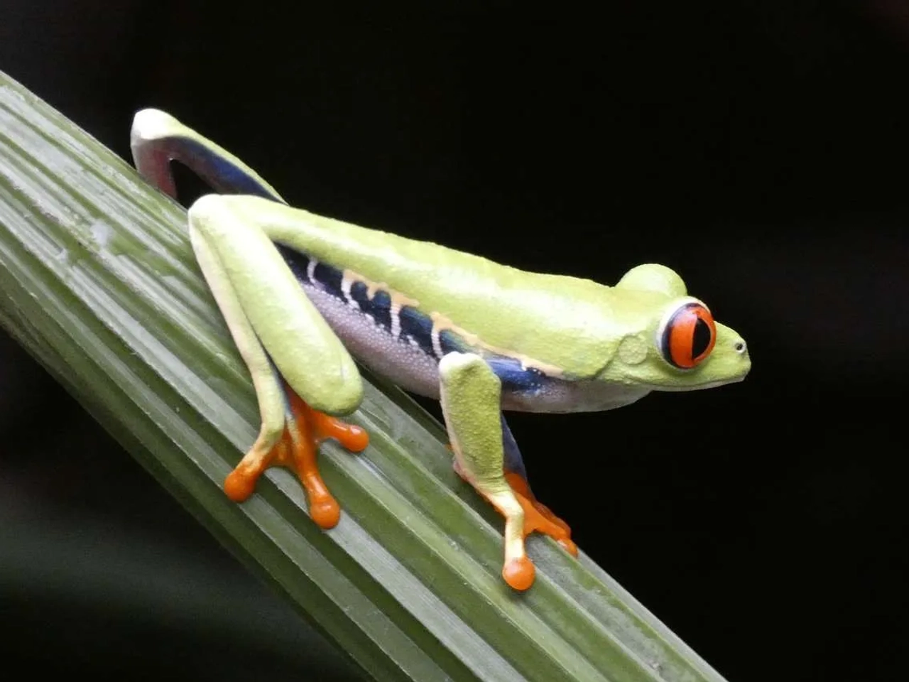 es seguro viajar a Costa Rica