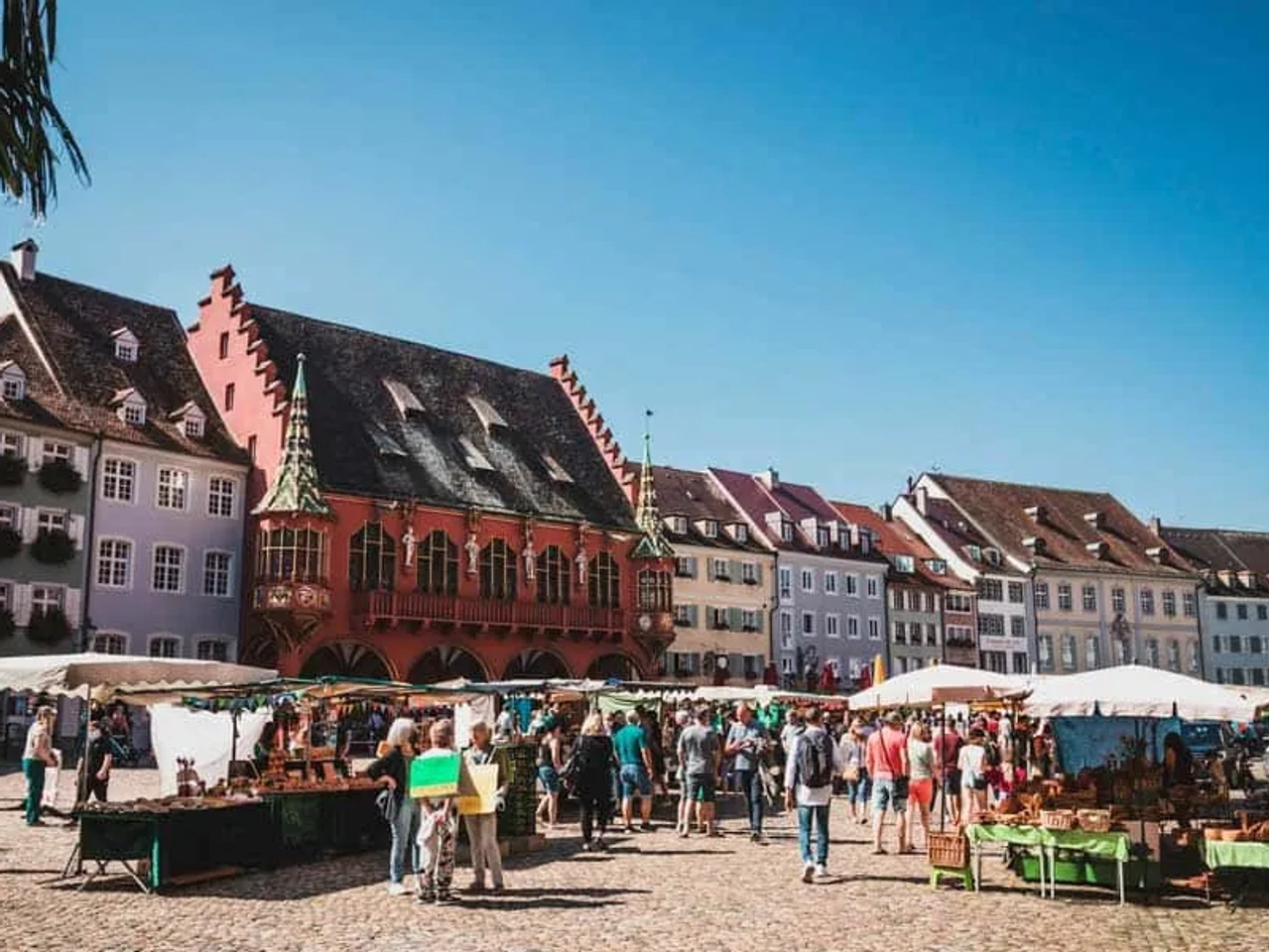 Qué ver en La Selva Negra