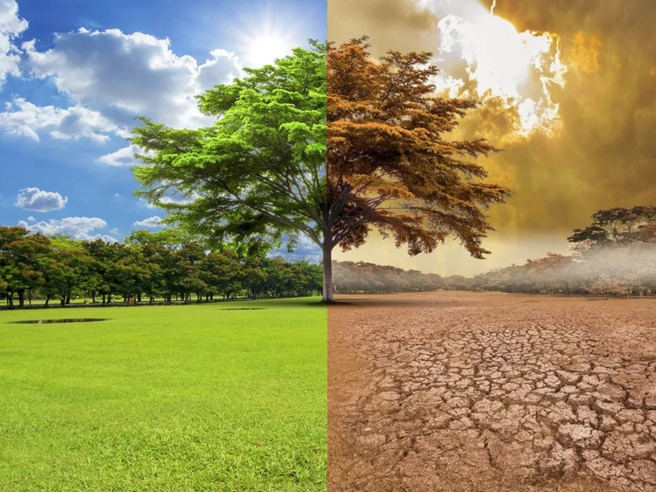 consecuencias del cambio climático