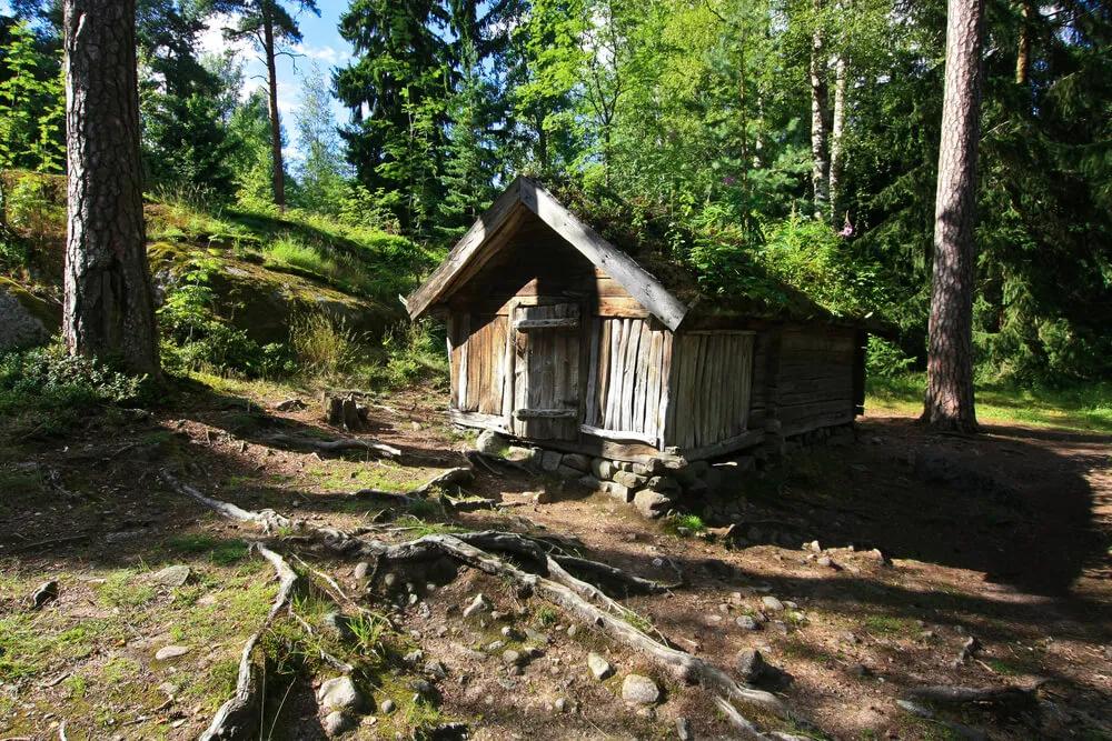 casa de madeira no meio do bosque