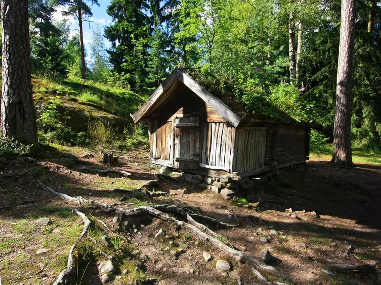 casa de madeira no meio do bosque