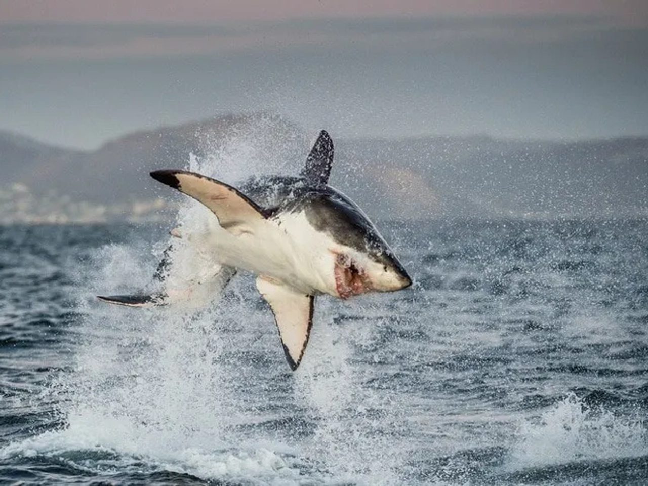 Itinerario de viaje a Sudáfrica