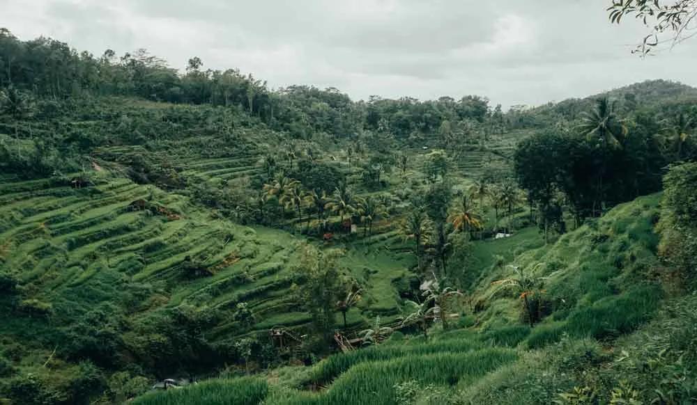 mejor época para viajar a Indonesia