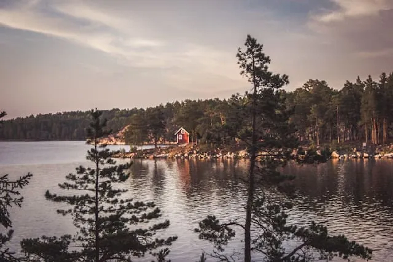 cabana vermelha no meio de uma floresta na suécia 2