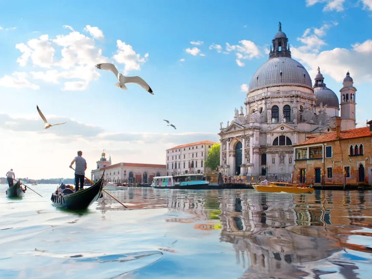 gondola, gaivotas e antiga catedral de santa maria de la salutte