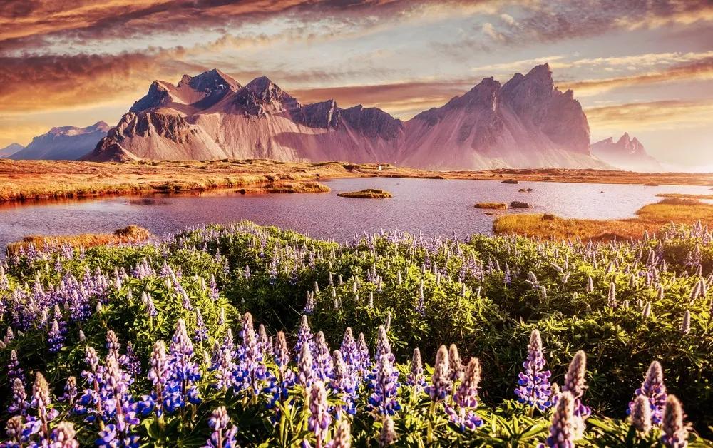 consejos para viajar a Islandia