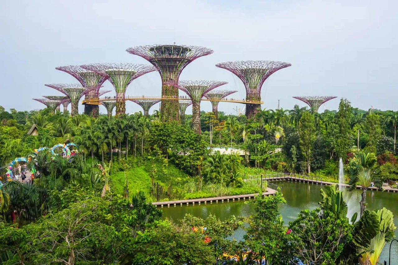 panoramica do garden by the bay com as arvores gigantes no centro