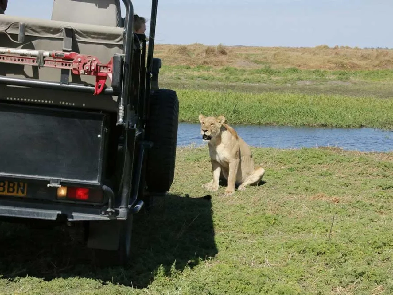 seguro de viaje a Botsuana