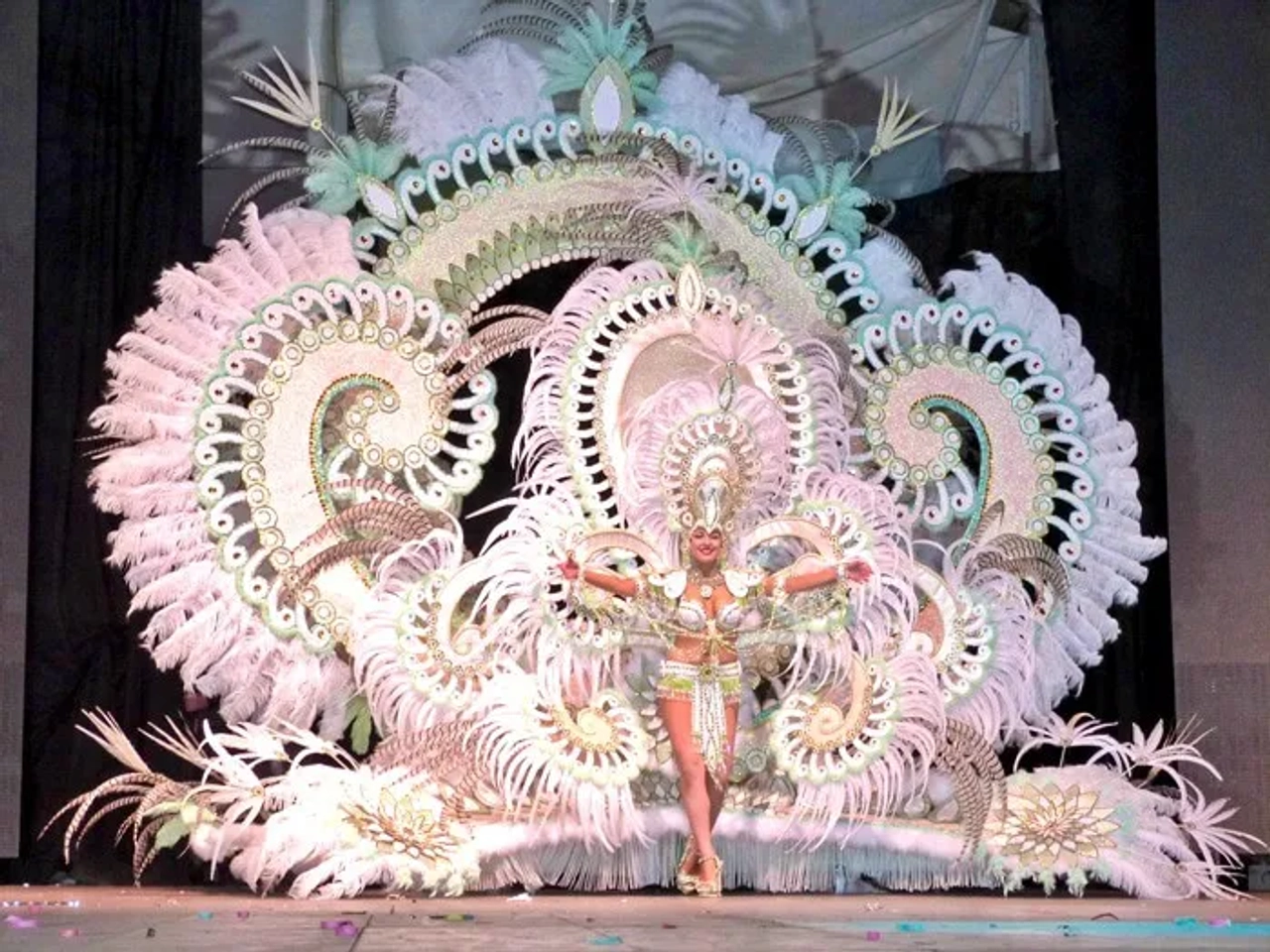 Mujer con disfraz colorido y plumas en un escenario de carnaval.