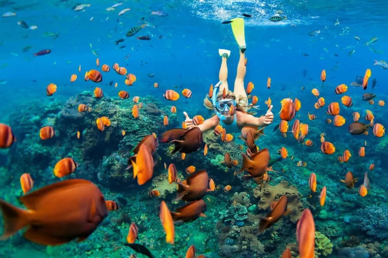 Pessoa a fazer snorkeling nas Maldivas, rodeada por peixes coloridos e recifes de coral.
